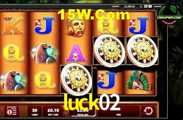 Platform Technology luck02